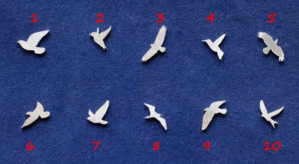 925 Sterling Silver Birds Solderable Accent (set of 10pc)