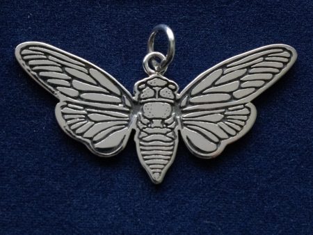 925 Sterling Silver 'Flat' Cicada Charm