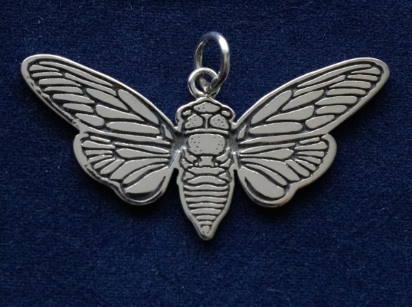 925 Sterling Silver 'Flat' Cicada Charm
