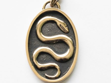 Bronze Snake in Shadowbox Pendant