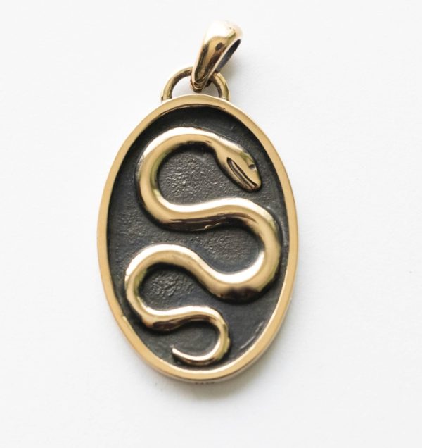 Bronze Snake in Shadowbox Pendant