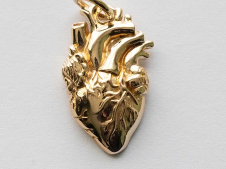 Bronze Anatomical Heart Charm