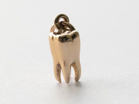 Bronze Tooth Charm