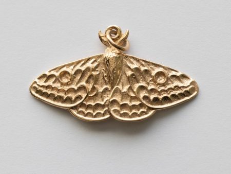 Bronze Moth Charm