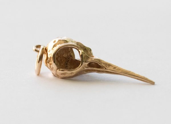 Bronze Hummingbird Skull Charm