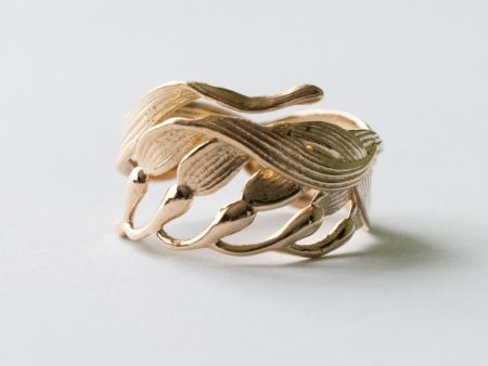 Bronze Adjustable Kelp Ring