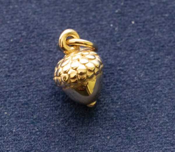 Bronze Acorn Charm