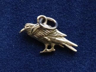Bronze Raven Charm